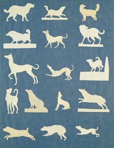 犬の研究（紙にコラージュ）